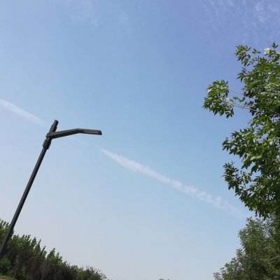 掌上乐园下载安装手机版